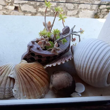 Mirina Σπίτι διακοπών Prvic Sepurine