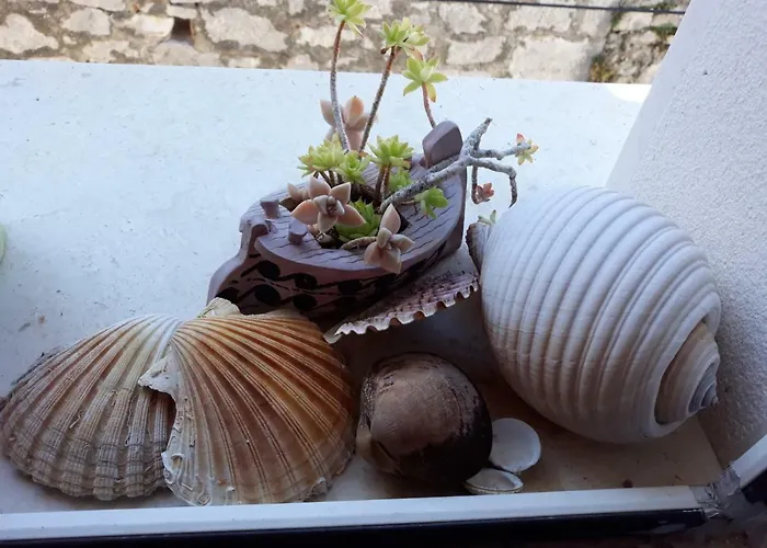 Mirina בית נופש פרוויץ' שפורינה